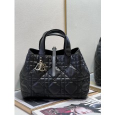 DIOR 디올 뚜즈흐백
