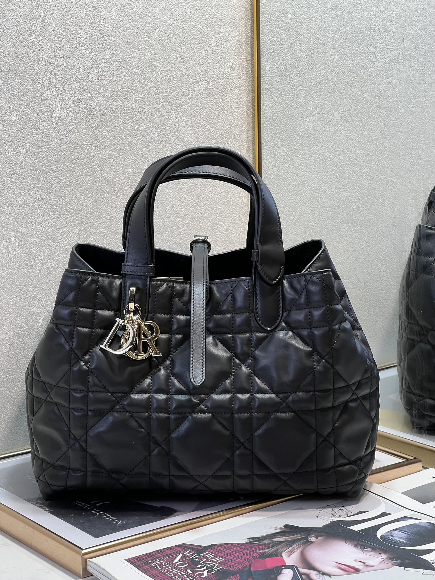 DIOR 디올 뚜즈흐백
