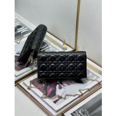 DIOR 디올 미니백