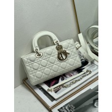 DIOR 디올 디조이백